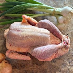Pintade fermière | Maison Pourthié à Candillargues et Lunel