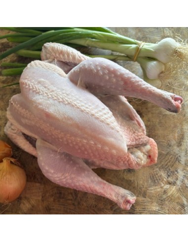 Poulet fermier | Maison Pourthié à Candillargues et Lunel